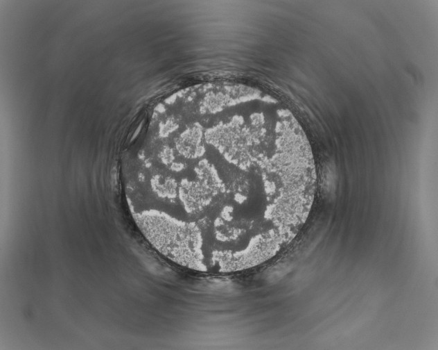 X0000111590715200908271009
