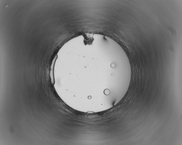 X0000111590716200908271009
