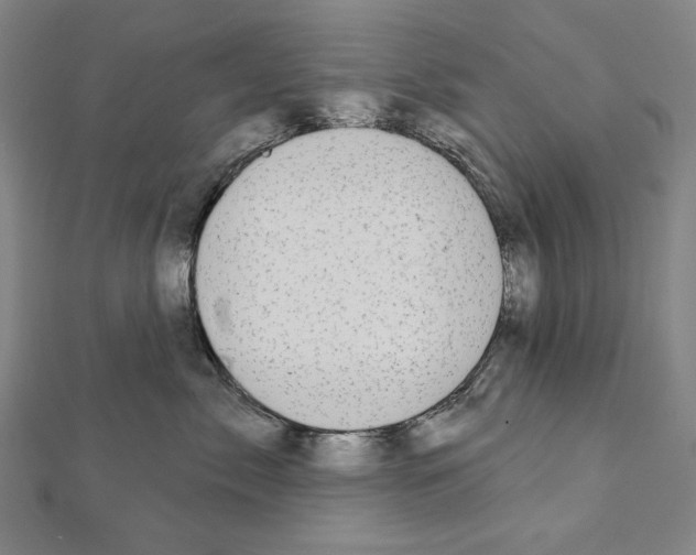 X0000111590717200908271009
