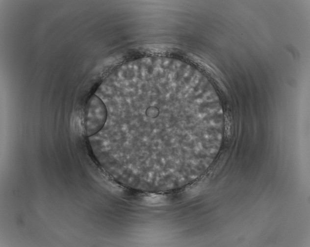 X0000111590718200908271009