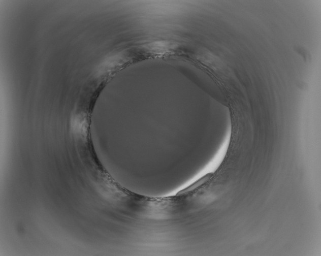 X0000111590720200908271009