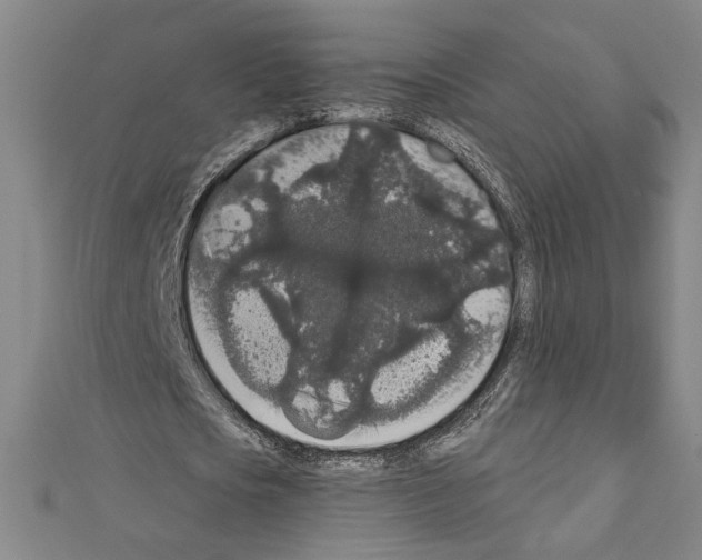 X0000111590721200908271008