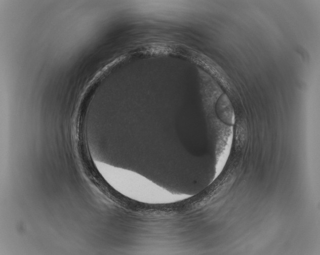 X0000111590722200908271008