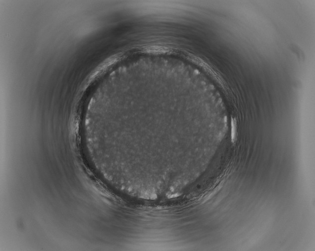 X0000111590723200908271008