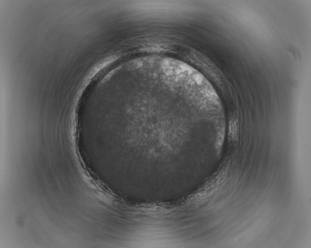 X0000111590724200908271009