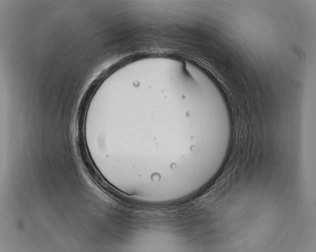 X0000111590726200908271009