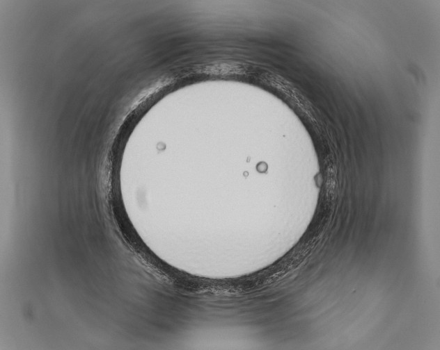 X0000111590727200908271009