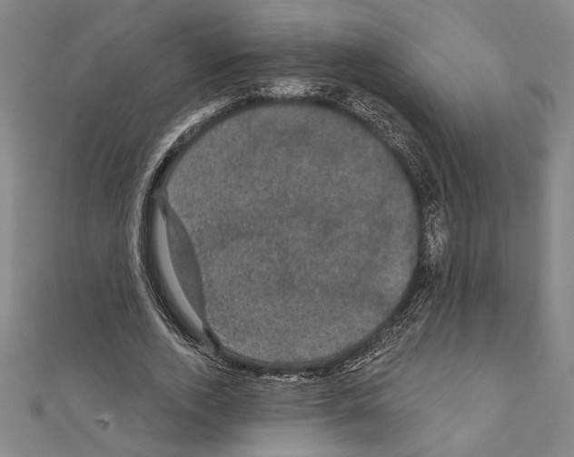 X0000111590728200908271009
