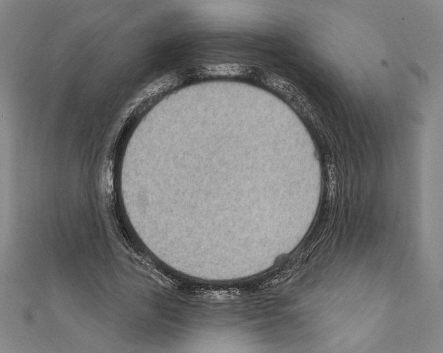 X0000111590731200908271009