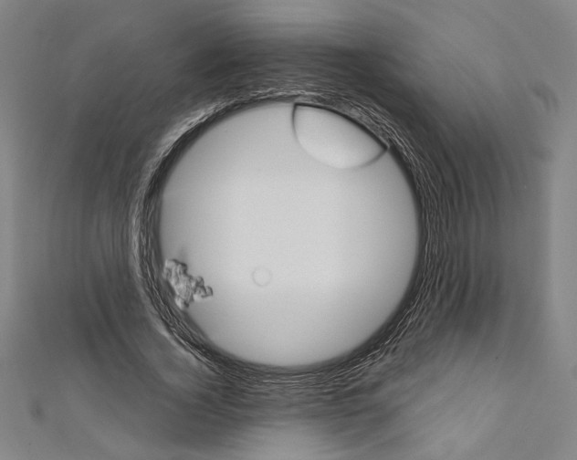 X0000111590732200908271009