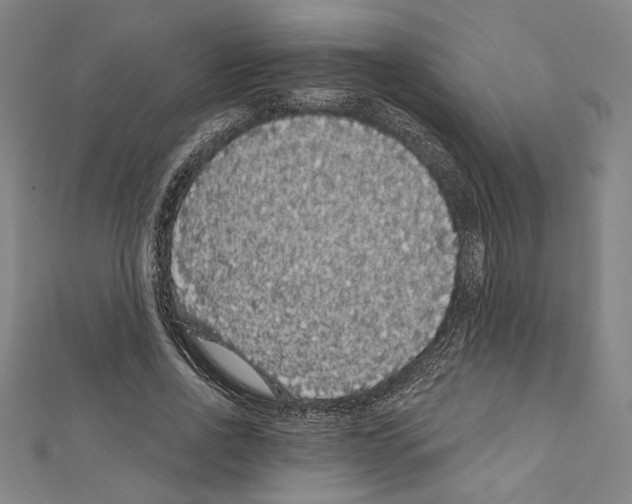 X0000111590734200908271009