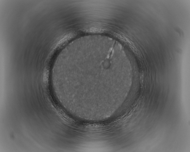 X0000111590735200908271009