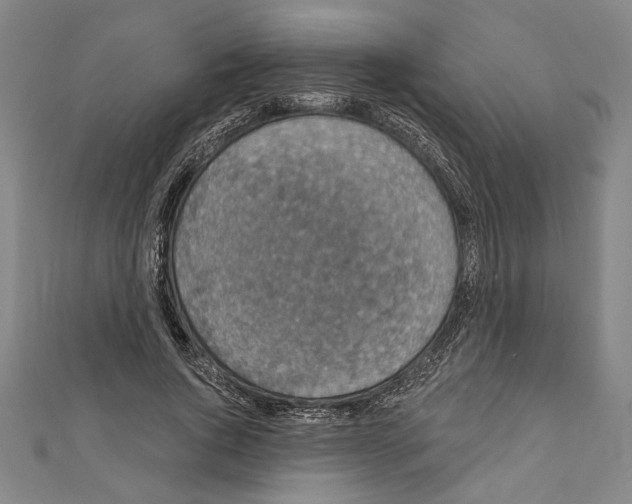 X0000111590736200908271009