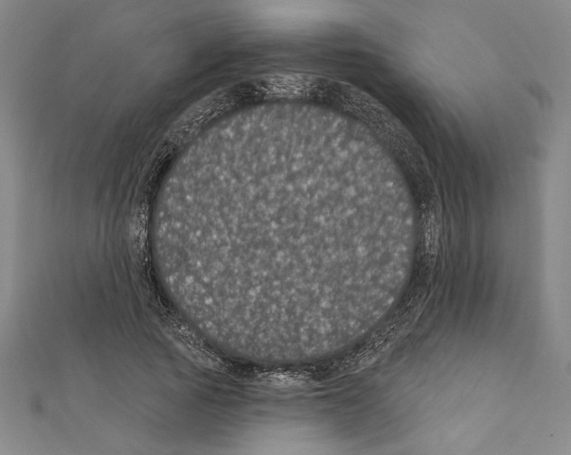 X0000111590737200908271009