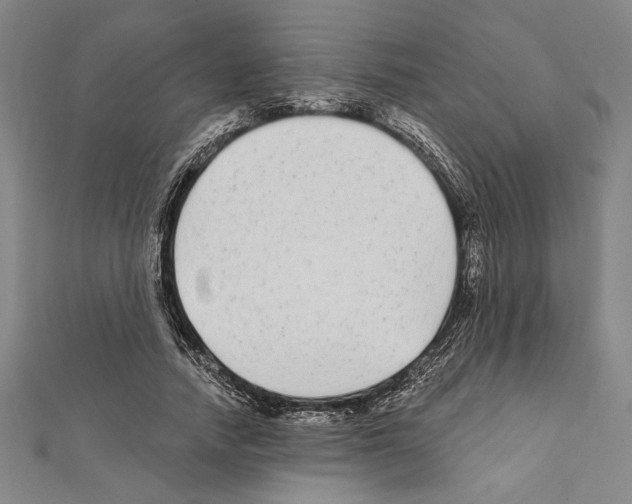 X0000111590738200908271009