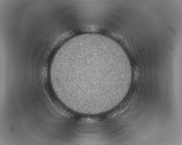 X0000111590739200908271009