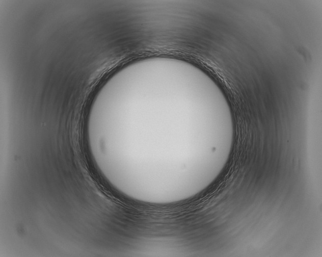 X0000111590740200908271009