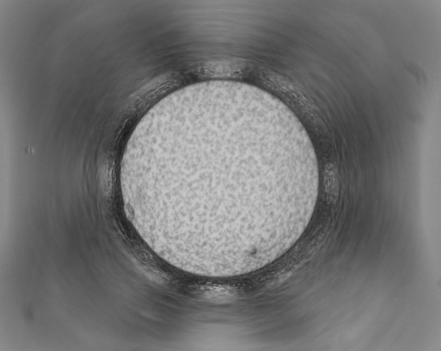 X0000111590741200908271009