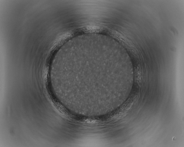 X0000111590742200908271009