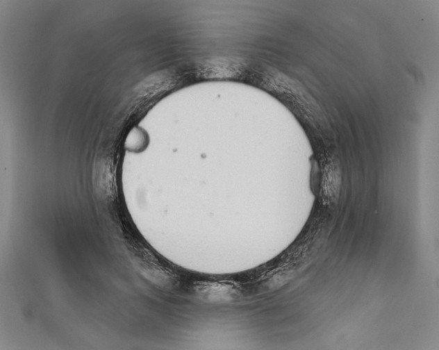 X0000111590743200908271009