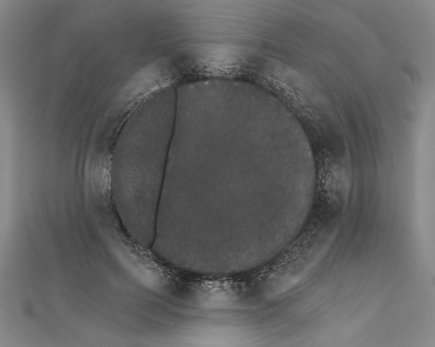 X0000111590744200908271009
