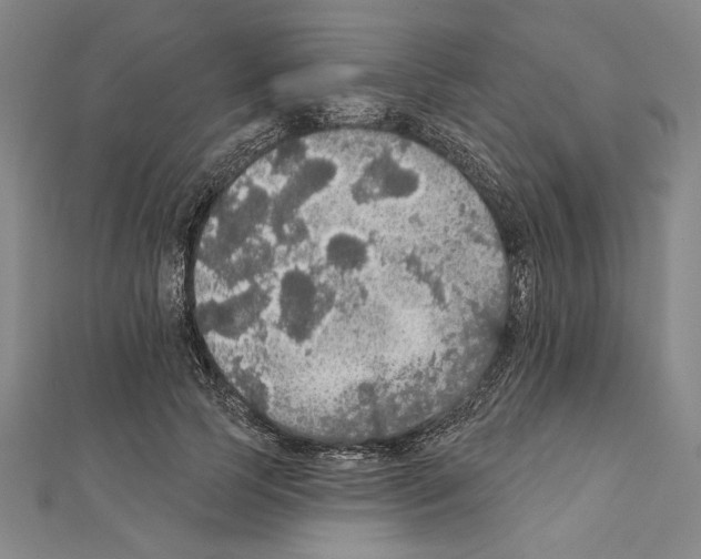 X0000111590745200908271009