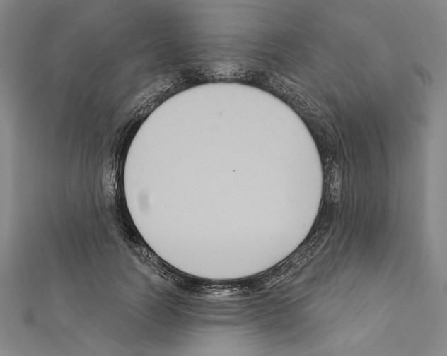 X0000111590746200908271009