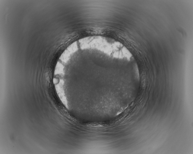 X0000111590747200908271009