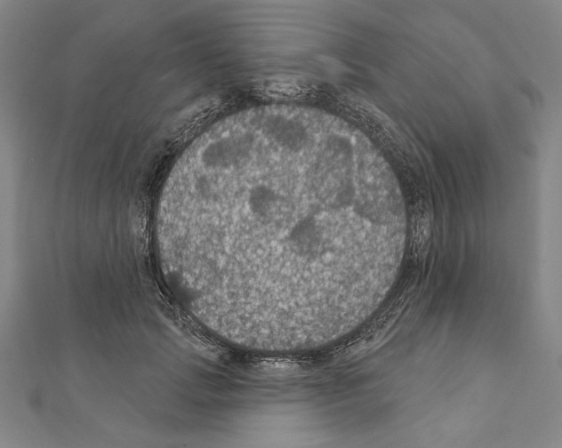 X0000111590749200908271009