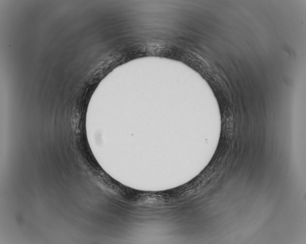 X0000111590750200908271009