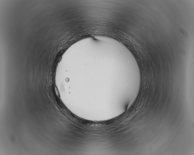 X0000111590751200908271009
