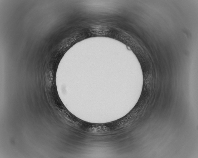 X0000111590752200908271009