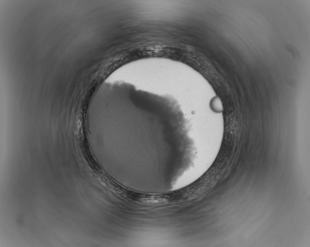 X0000111590754200908271009