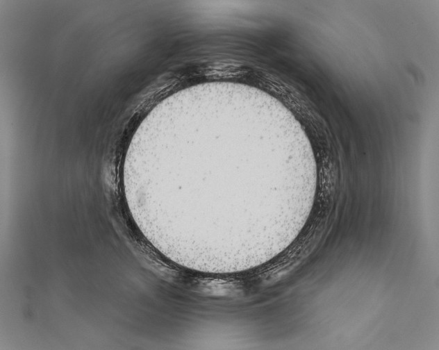 X0000111590755200908271009