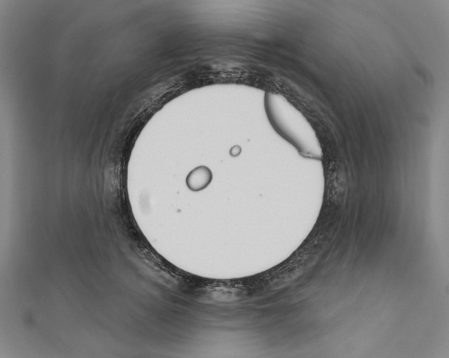 X0000111590756200908271009