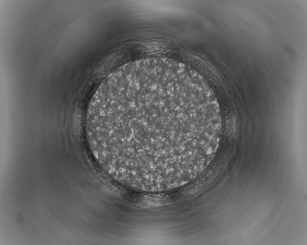 X0000111590757200908271009