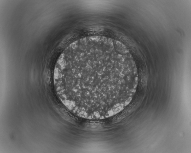 X0000111590758200908271009