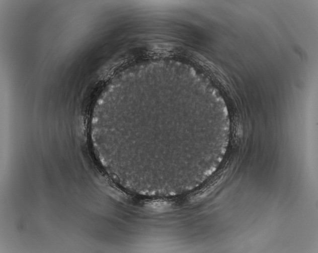 X0000111590759200908271009