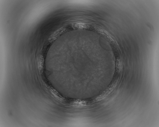 X0000111590760200908271009