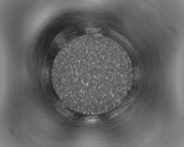 X0000111590761200908271009