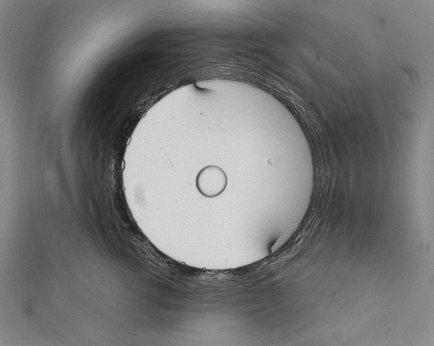 X0000111590762200908271009