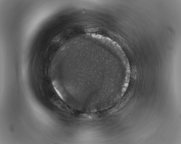 X0000111590763200908271009