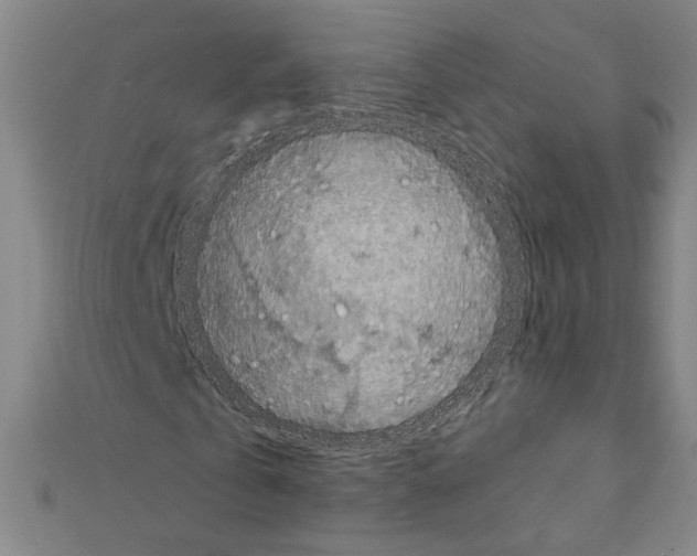 X0000111590769200908271008