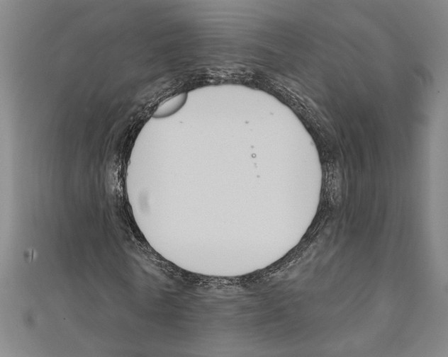 X0000111590770200908271008