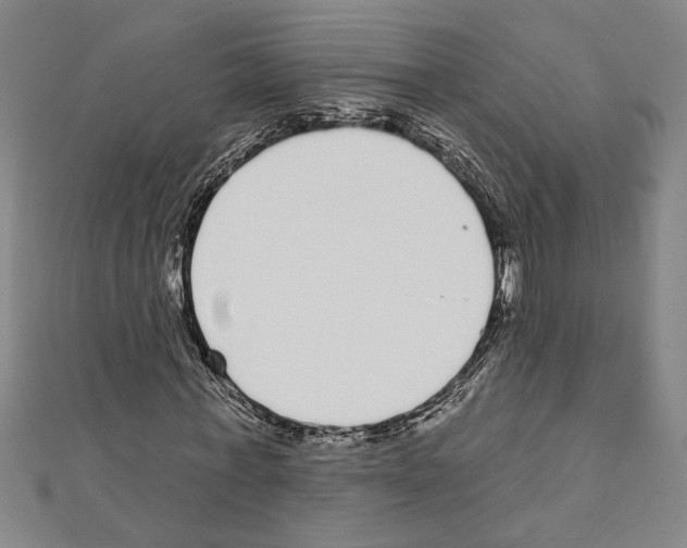 X0000111590771200908271008