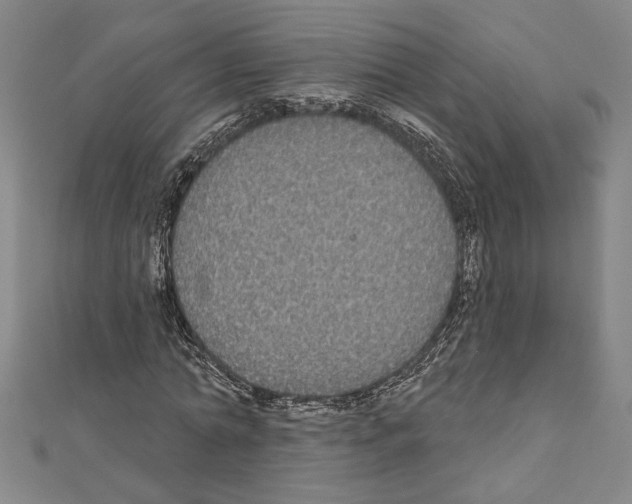 X0000111590774200908271008