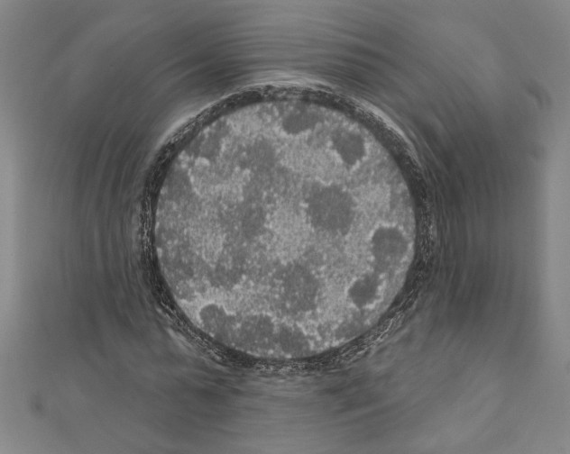 X0000111590775200908271008