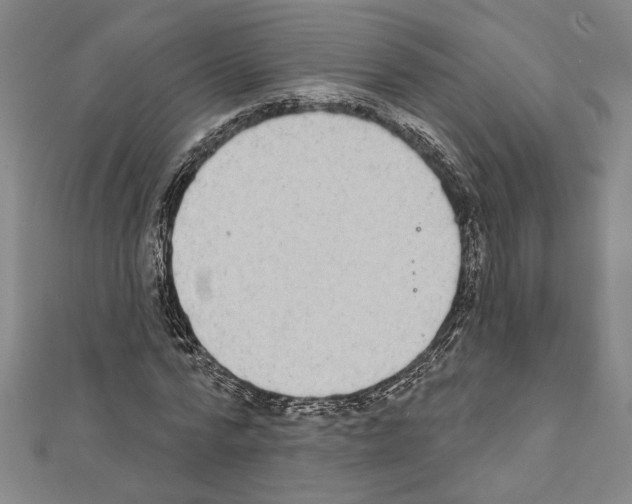 X0000111590776200908271008