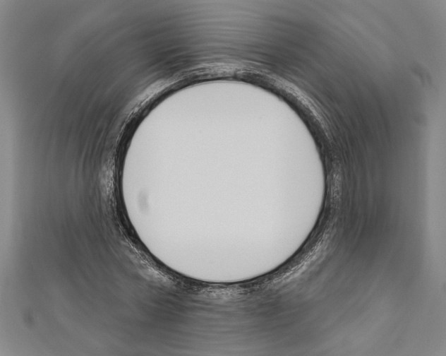 X0000111590778200908271008