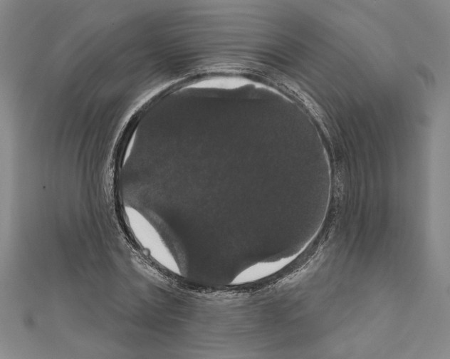 X0000111590779200908271008